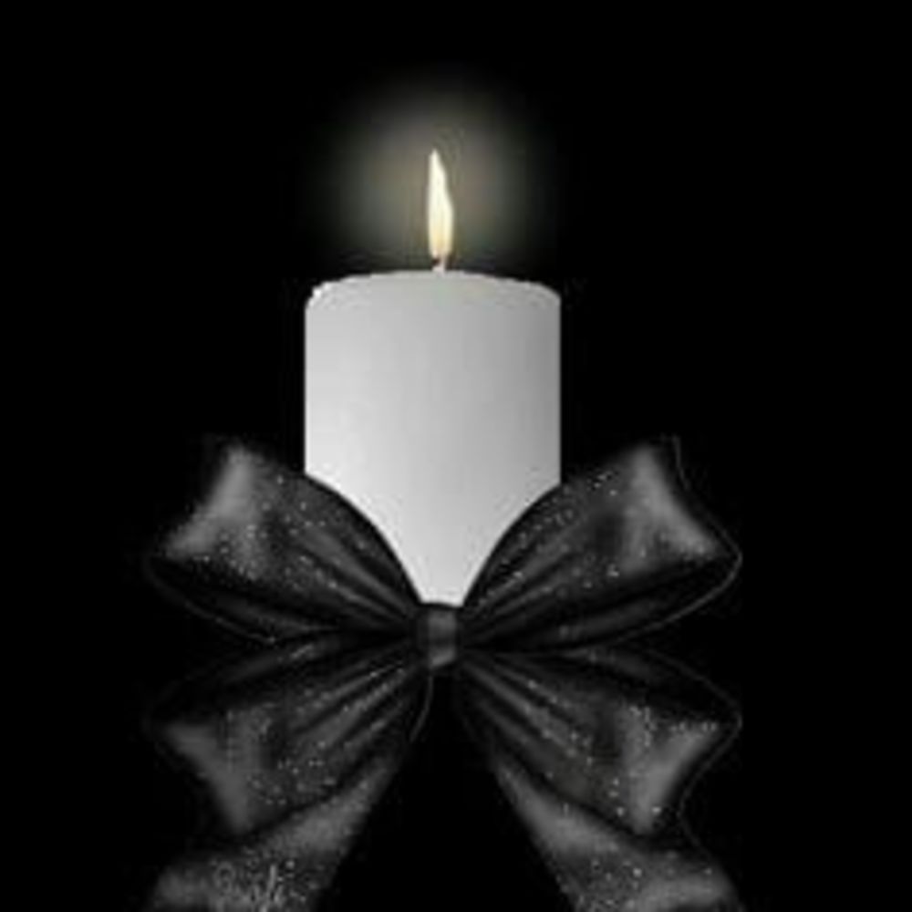 Meet your Posher, Lucy